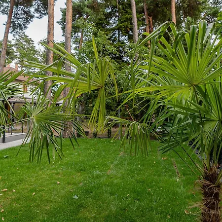 Apartmán Karl Lux *